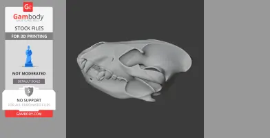 Spotted Hyena Skull - Skull Replica STL