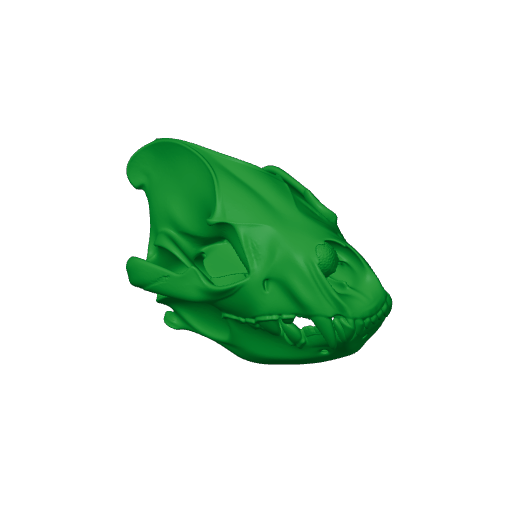 Spotted Hyena Skull.3mf