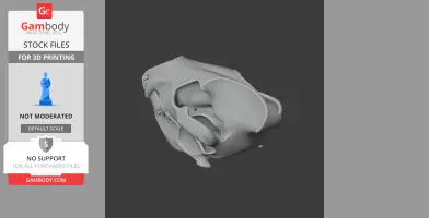 Spotted Hyena Skull - Skull Replica STL