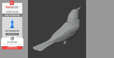 Bahama oriole - Prehistoric Animal STL
