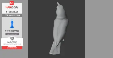Bahama oriole - Prehistoric Animal STL