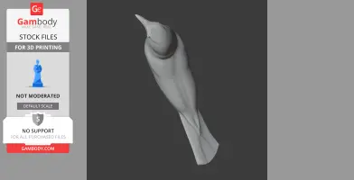 Bahama oriole - Prehistoric Animal STL