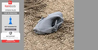 Spotted Skunk Skull - Skull Replica STL