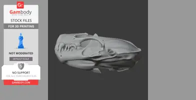 Spotted Skunk Skull - Skull Replica STL