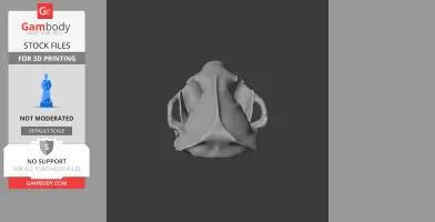 Spotted Skunk Skull - Skull Replica STL