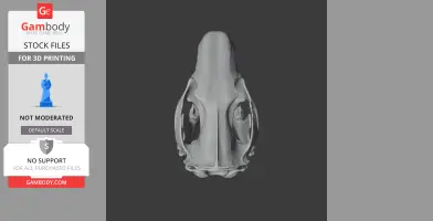 Spotted-tailed Quoll Skull - Skull Replica STL