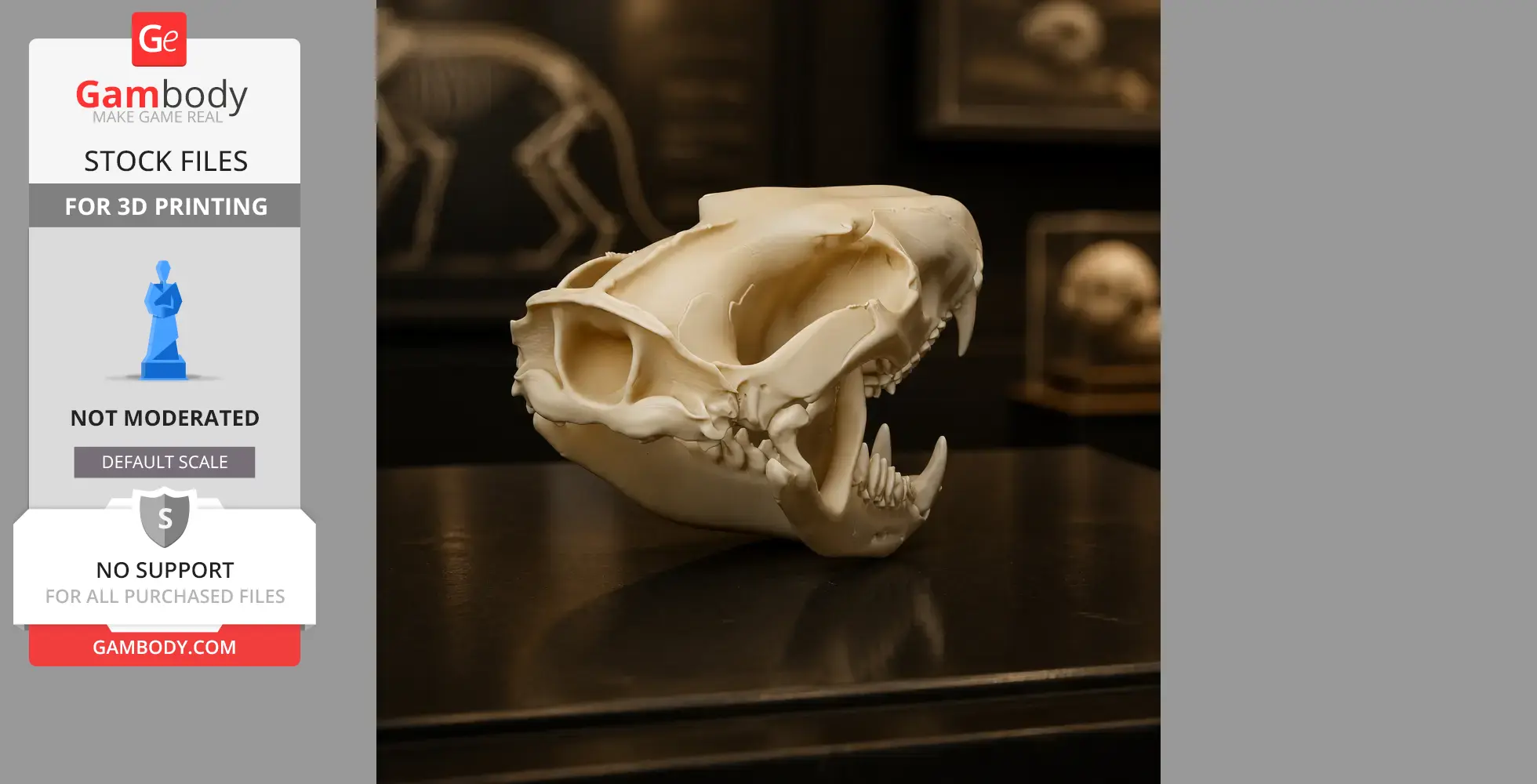 Spotted-tailed Quoll Skull - Skull Replica STL