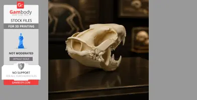 Spotted-tailed Quoll Skull - Skull Replica STL