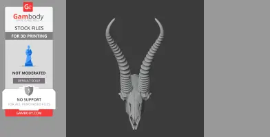 Springbok Skull - Skull Replica STL