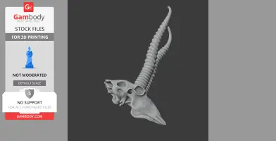 Springbok Skull - Skull Replica STL