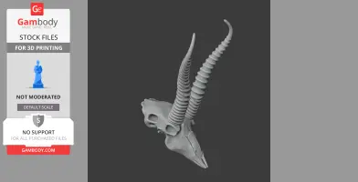 Springbok Skull - Skull Replica STL
