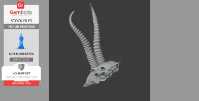 Springbok Skull - Skull Replica STL