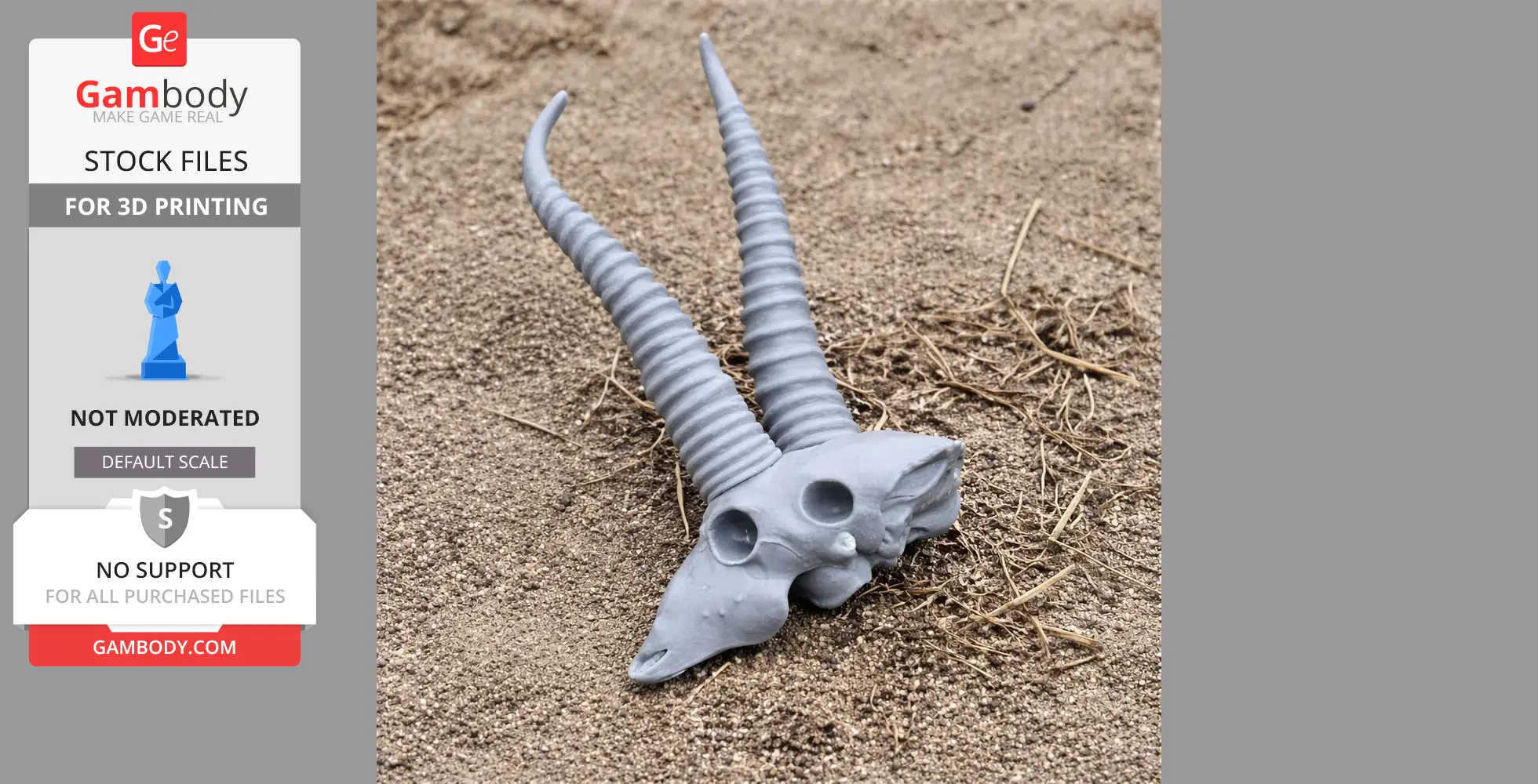Springbok Skull - Skull Replica STL