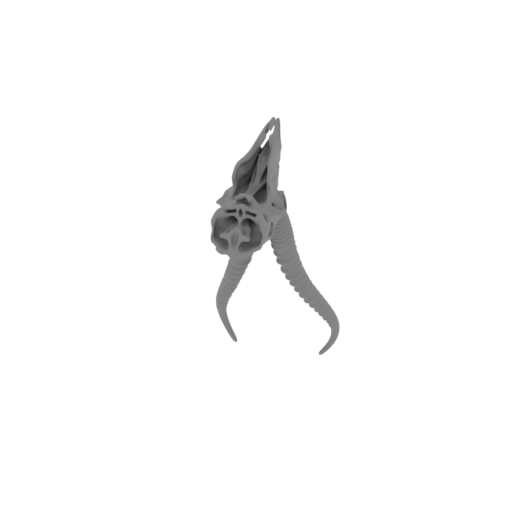 Springbok Skull.stl