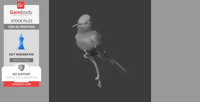 3D model of a Bahama Woodstar bird, perched with detailed feathers and beak, for 3D printing.