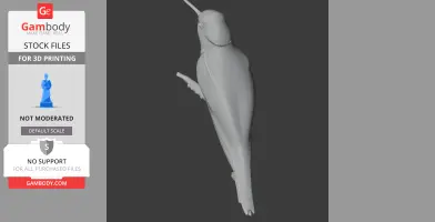 A 3D model of a Bahama woodstar, a prehistoric bird, positioned perched with detailed body features.