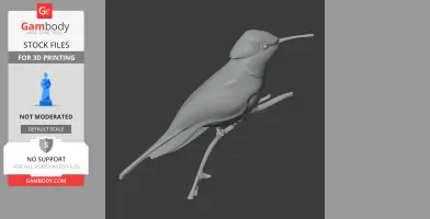 Gray 3D model of a Bahama woodstar bird perched on a branch, designed for 3D printing.