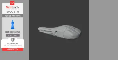 Spotted Gar Skull - Skull Replica STL