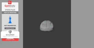 Spotted Gar Skull - Skull Replica STL