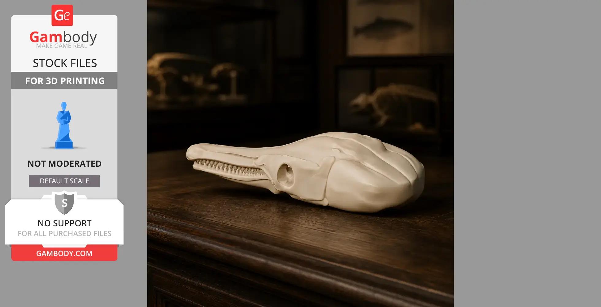 Spotted Gar Skull - Skull Replica STL