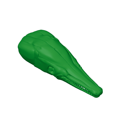 Spotted Gar Skull.3mf
