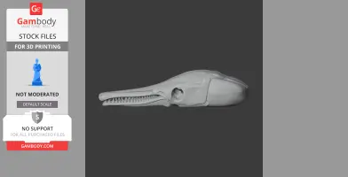 Spotted Gar Skull - Skull Replica STL