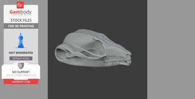 Squirrel Glider Skull - Skull Replica STL