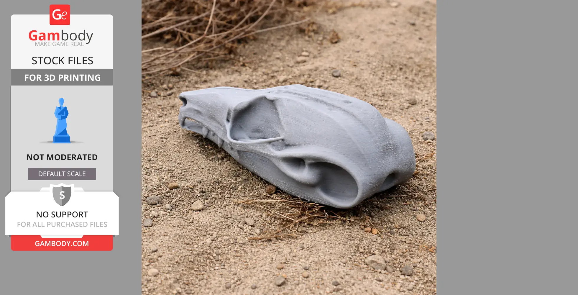 Squirrel Glider Skull - Skull Replica STL