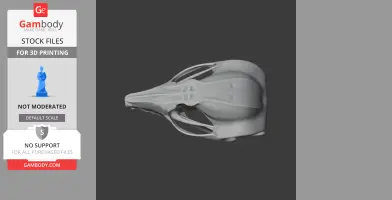 Squirrel Glider Skull - Skull Replica STL