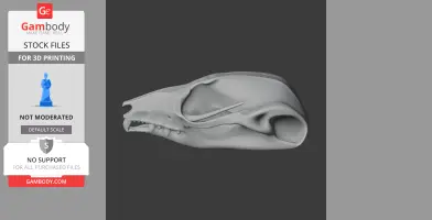 Squirrel Glider Skull - Skull Replica STL