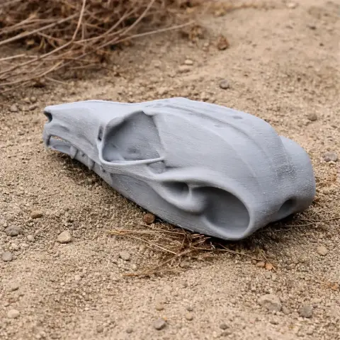 Squirrel Glider Skull - Skull Replica STL