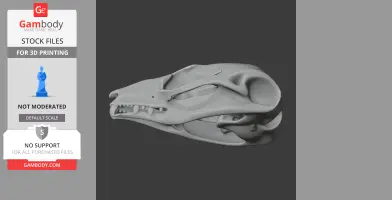 Squirrel Glider Skull - Skull Replica STL