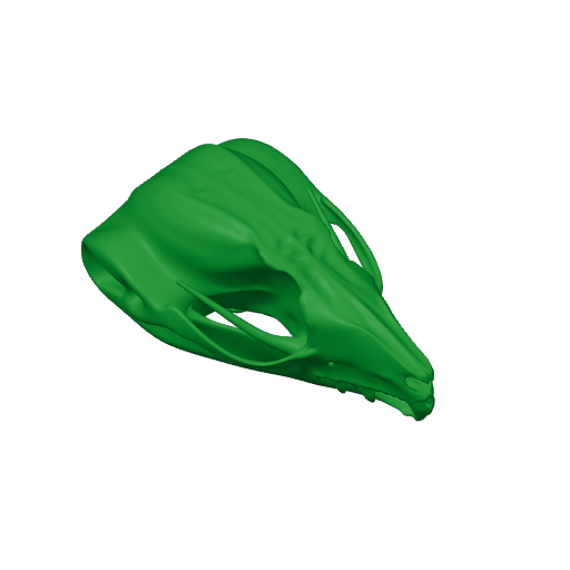 Squirrel Glider Skull.3mf