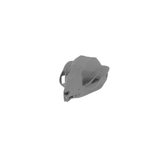 Squirrel Glider Skull.stl