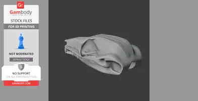 Squirrel Glider Skull - Skull Replica STL