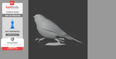 Bahia antwren - Prehistoric Animal STL