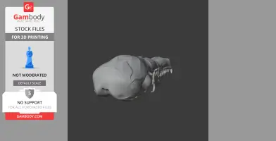 Star-nosed Mole Skull - Skull Replica STL