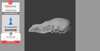 Star-nosed Mole Skull - Skull Replica STL