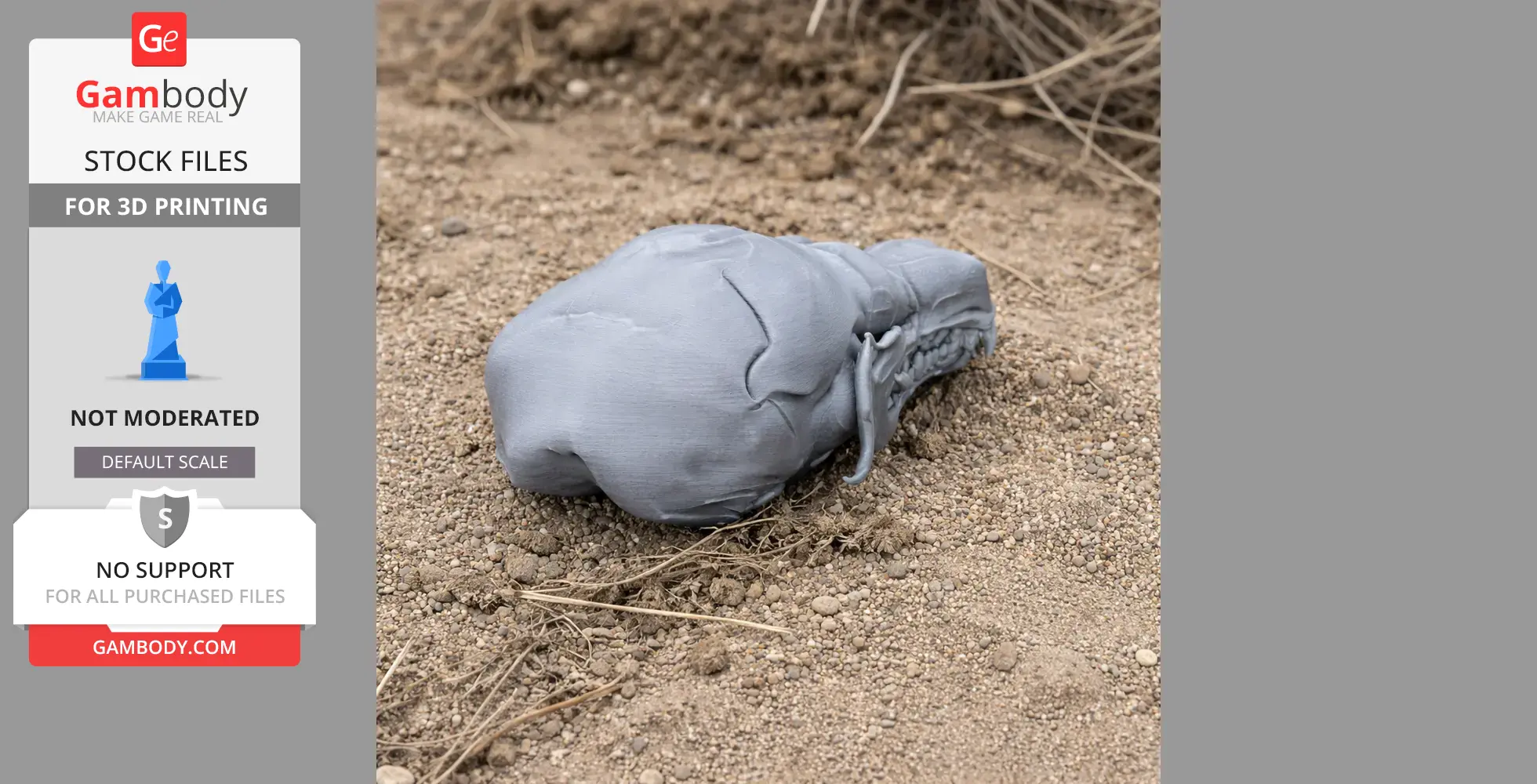 Star-nosed Mole Skull - Skull Replica STL