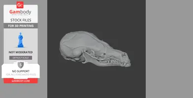 Star-nosed Mole Skull - Skull Replica STL