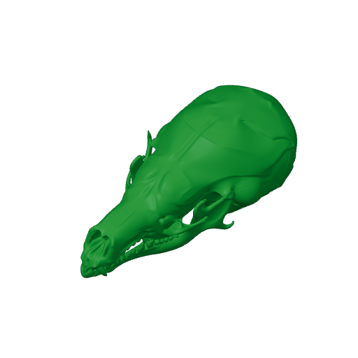 Star-nosed Mole Skull.3mf