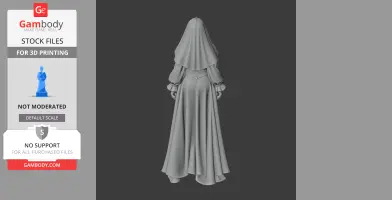Hooded figure with flowing robes, seen from behind, detailed for 3D printing.