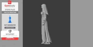 A 3D model of a female character in a long dress with a veil, seen from the side.