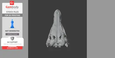 Stegouros Skull - Skull Replica STL
