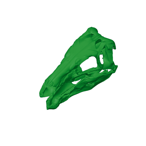 Stegouros Skull.3mf