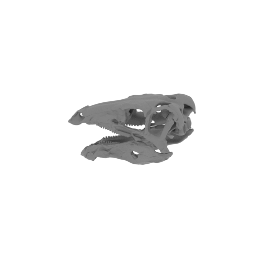 Stegouros Skull.stl