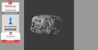 Stegouros Skull - Skull Replica STL
