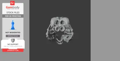 Stegouros Skull - Skull Replica STL