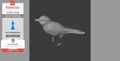 Bahia spinetail - Prehistoric Animal STL