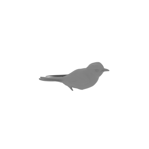 Bahia spinetail.stl